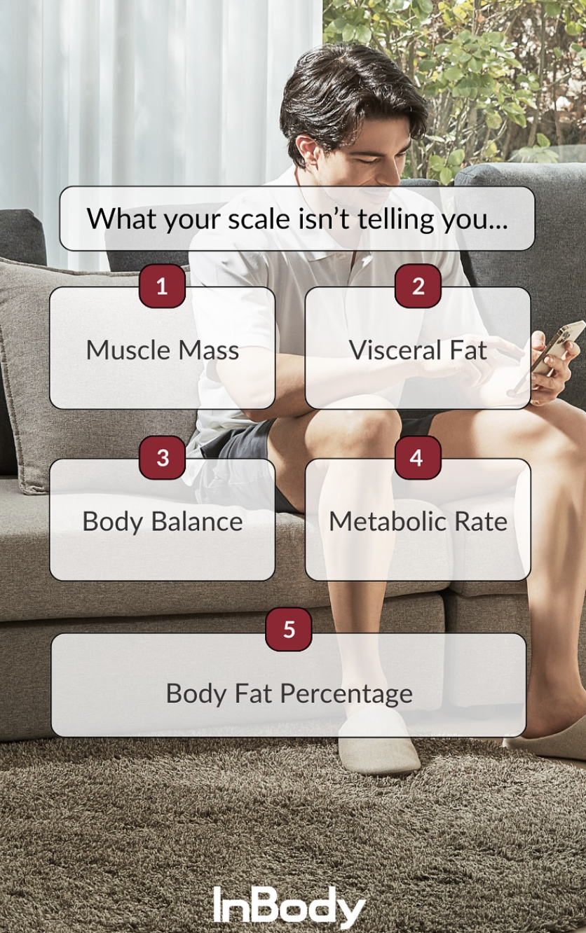 InBody 380 Body Composition Assessment